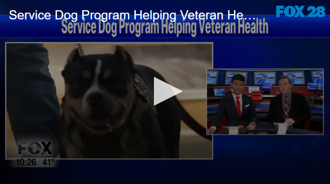 Service Dog Program Helping Veteran Health November 12 2024