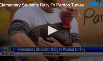 Elementary Students Rally To Pardon Turkey November 21 2024