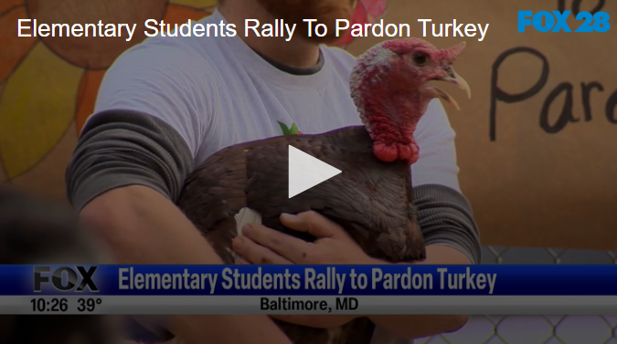 Elementary Students Rally To Pardon Turkey November 21 2024