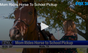 Mom Rides Horse To School Pickup November 26 2024