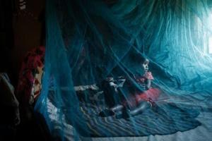 Malaria mortality returns to pre-Covid levels: WHO