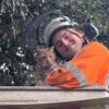 Cat stuck in tree for 24 hours rescued using cherry picker