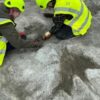 UK’s biggest dinosaur footprint site uncovered