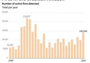 ‘No more fires,’ demand fed-up Amazon residents