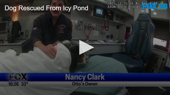 Dog Rescued From Icy Pond January 2nd 2025