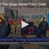 Woman And Two Dogs Saved From Creek