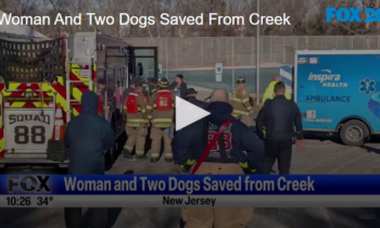 Woman And Two Dogs Saved From Creek