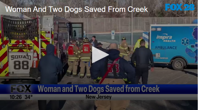 Woman And Two Dogs Saved From Creek